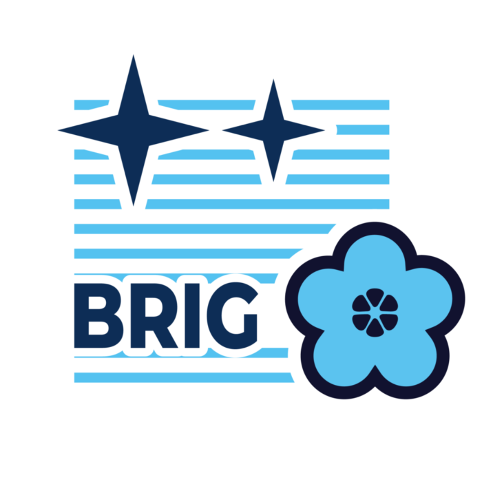 Свойства профессионального порошка для стирки PLEX BRIGITTE 20 кг